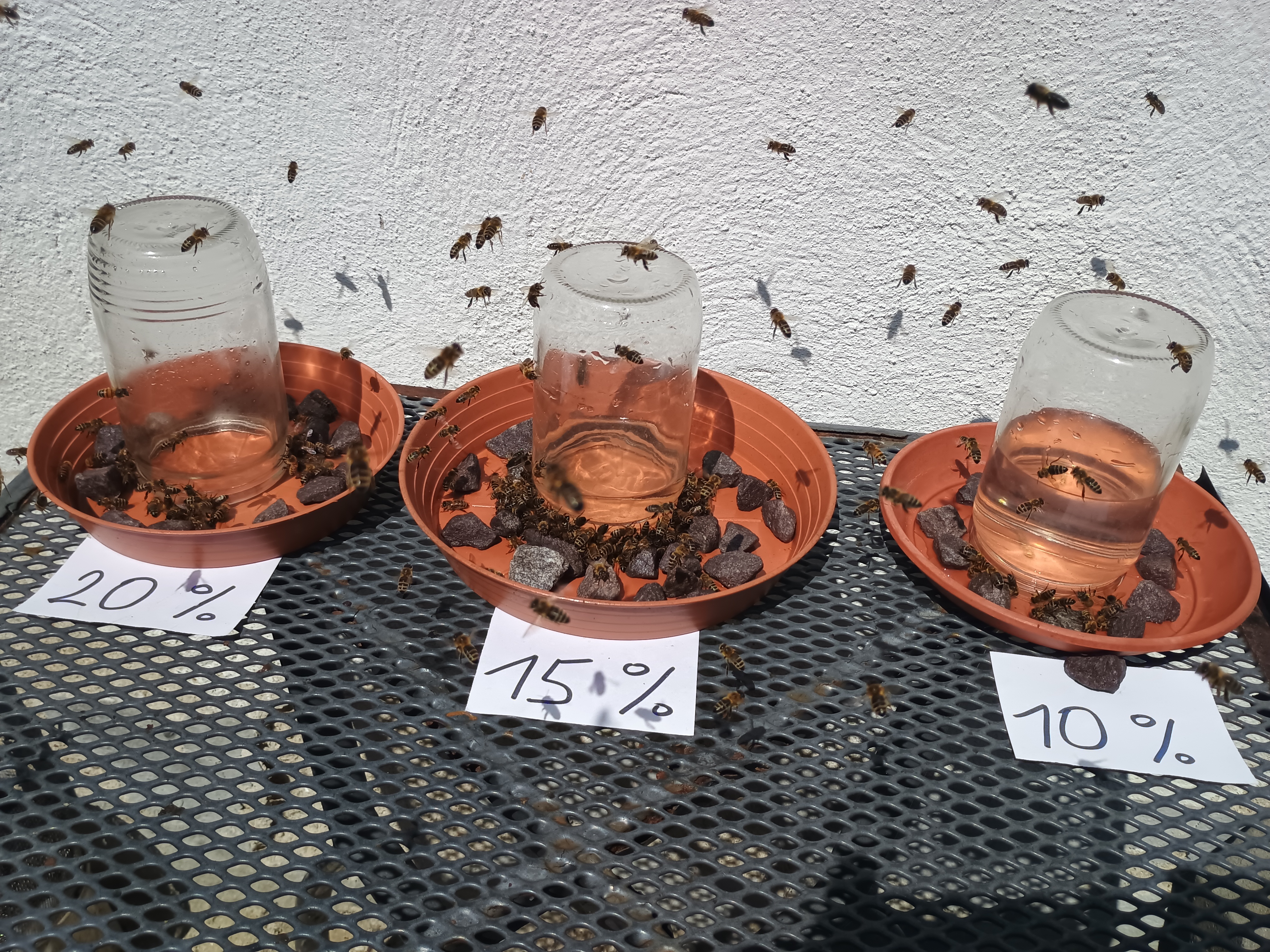 Napajedla s cukerným roztokem